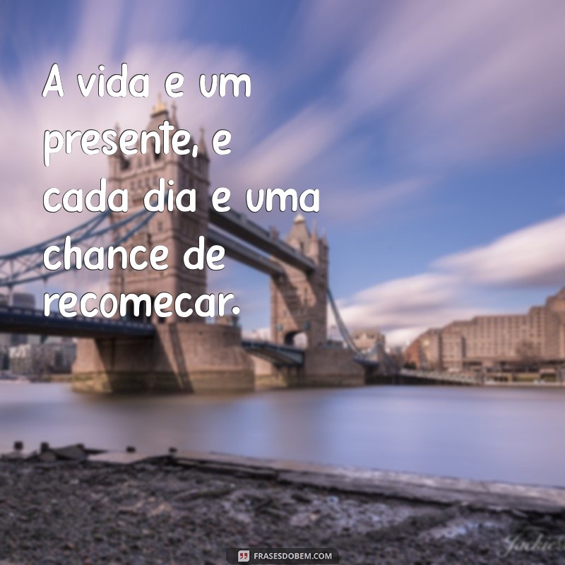 Frases de Apoio para Câncer: Mensagens de Força e Esperança 