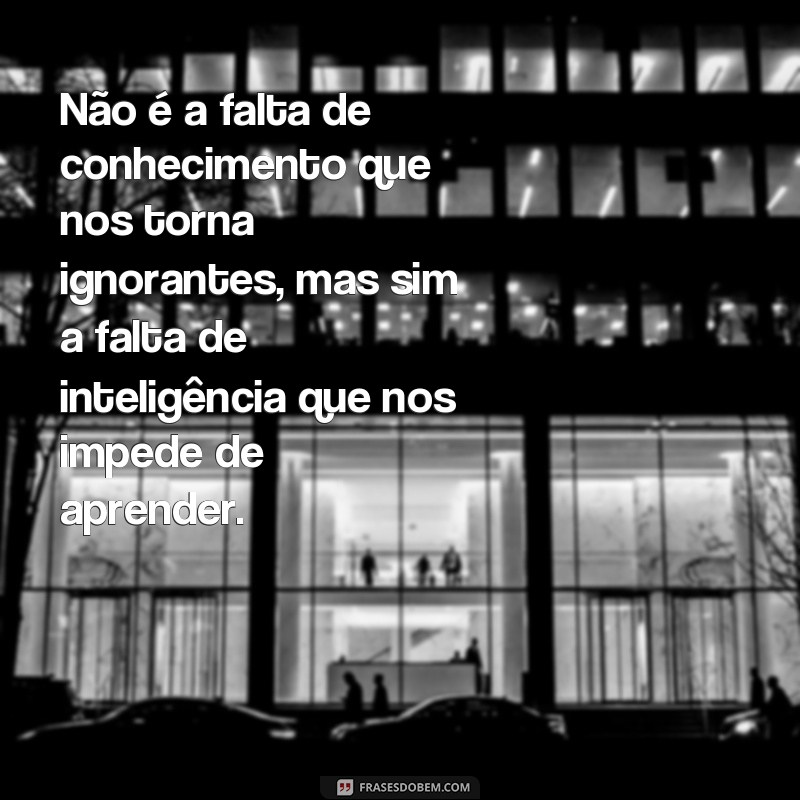 Descubra as melhores frases sobre a falta de inteligência e reflita sobre o poder do conhecimento 