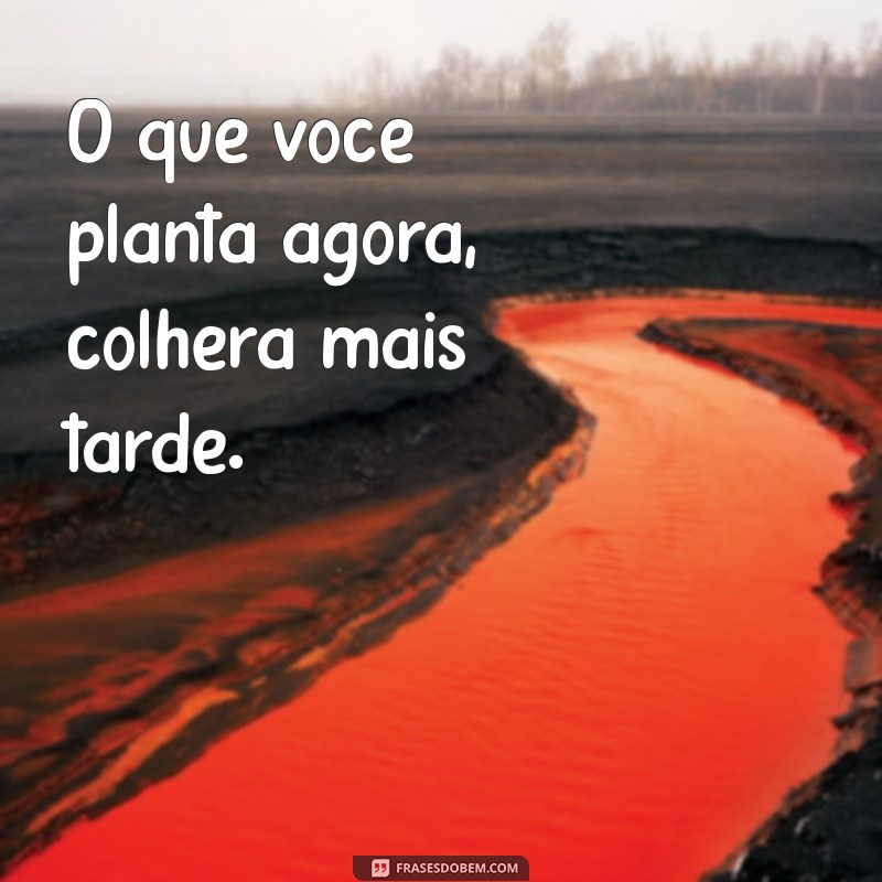 Frases Budistas Inspiradoras: Sabedoria e Serenidade para o Dia a Dia 