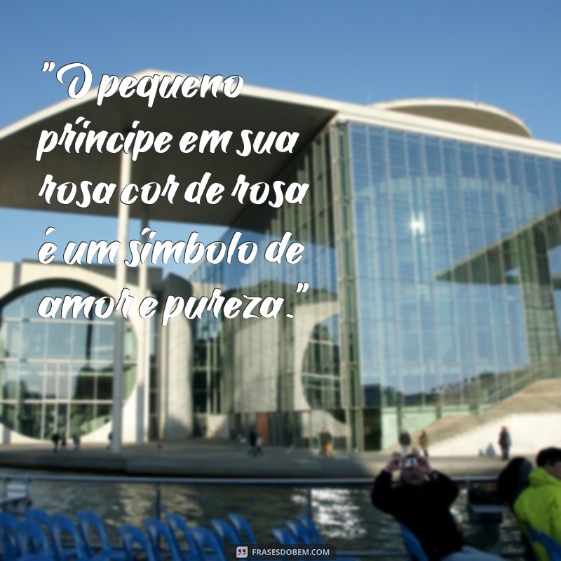 frases rosa pequeno principe png 