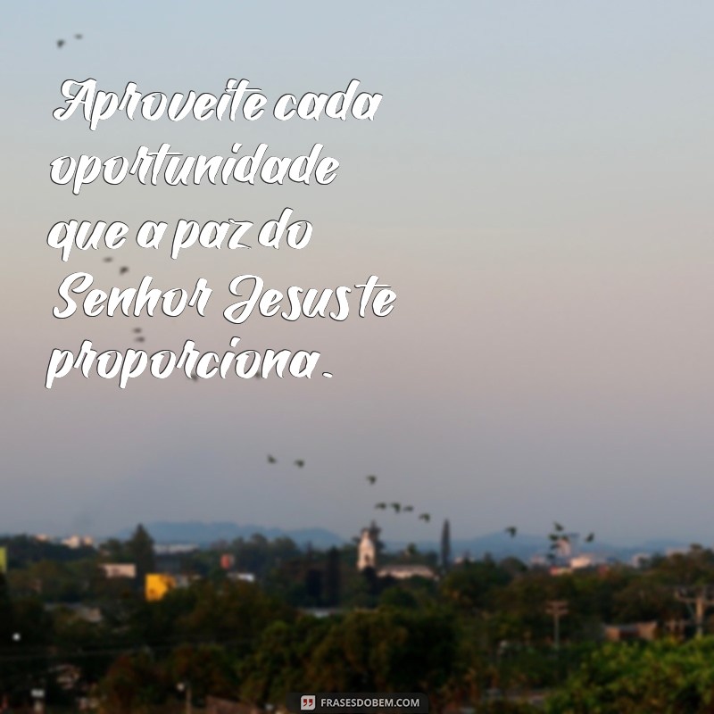 Descubra as melhores frases de bom dia para começar o dia na paz do Senhor Jesus 