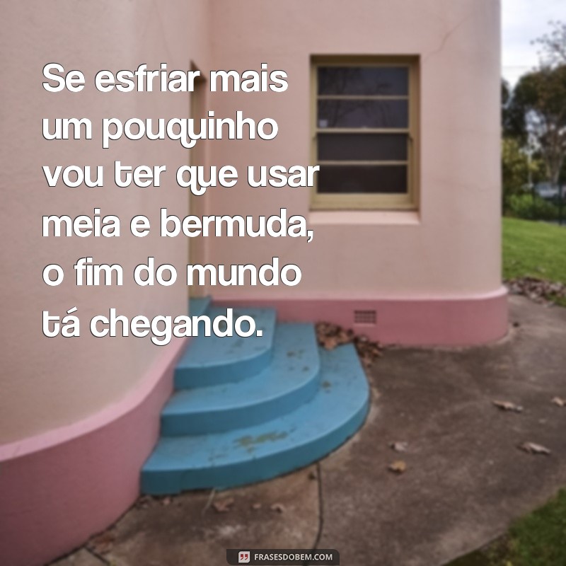 Descubra as 10 melhores frases de baiano engraçadas para alegrar o seu dia! 