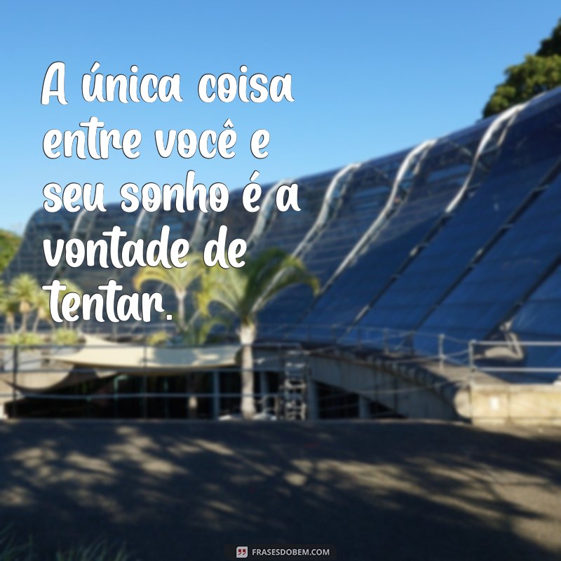 Frases Inspiradoras para Conquistar Seus Sonhos e Transformar sua Vida 