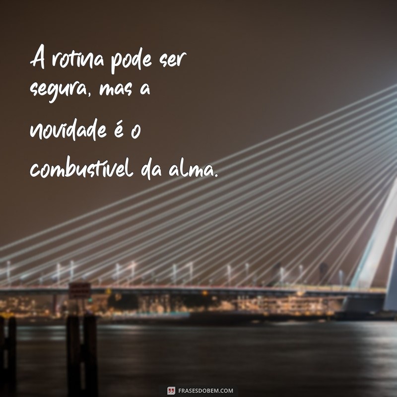 Descubra as Melhores Frases para Sair da Zona de Conforto e Transformar sua Vida 