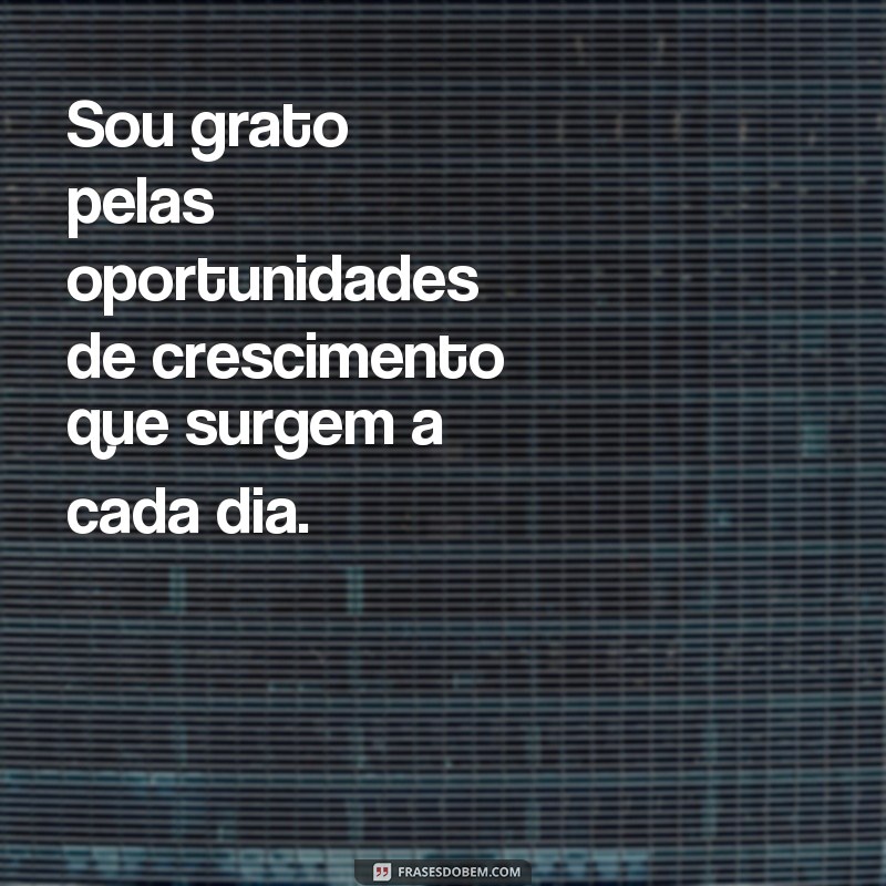 Descubra as melhores frases para se inspirar e evoluir a cada dia! 