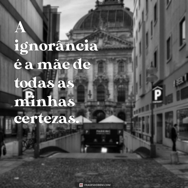 Descubra as melhores frases de ignorância para arrasar nos seus status 