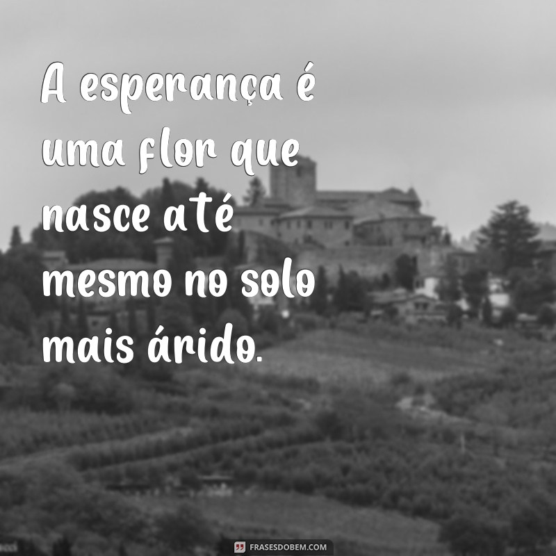 Descubra as melhores frases para abraçar a esperança e renovar suas energias! 