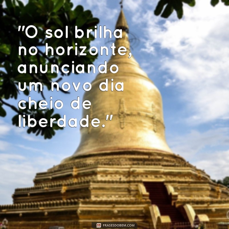 frases de sol e liberdade 