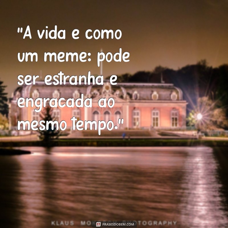 Top 50 Frases de Meme Engraçado para Compartilhar e Rir Sem Parar 