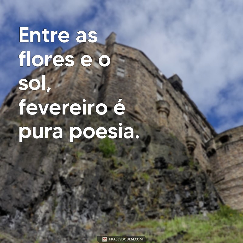 Frases Inspiradoras para Celebrar o Mês de Fevereiro 