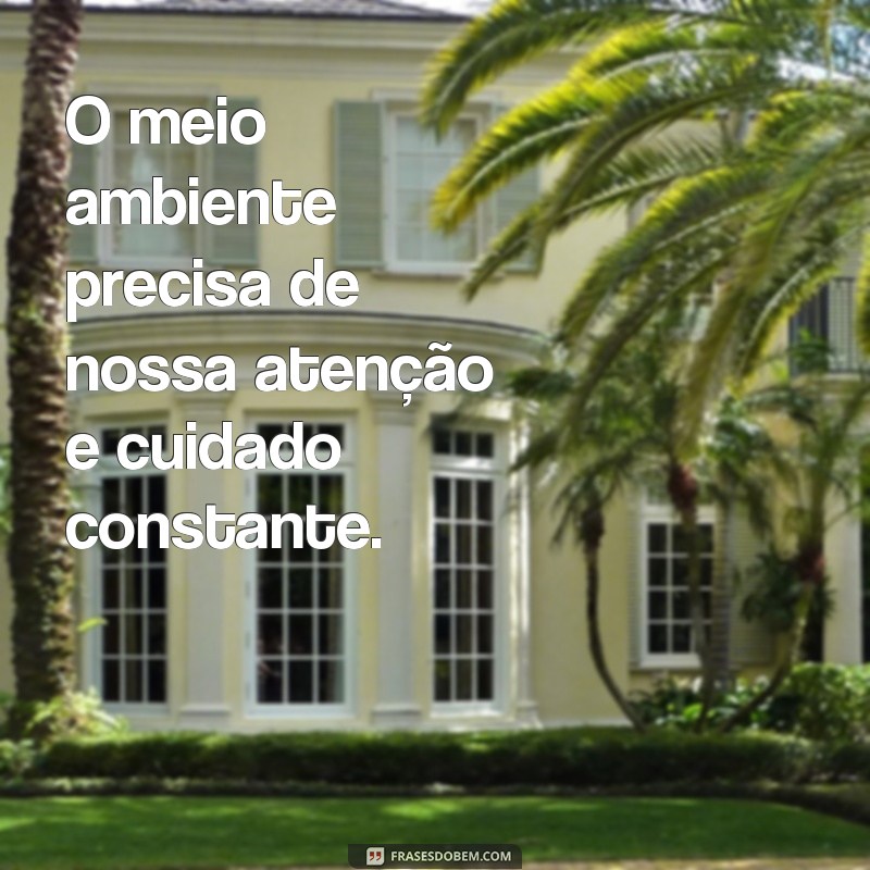 frases meio ambiente texto O meio ambiente precisa de nossa atenção e cuidado constante.