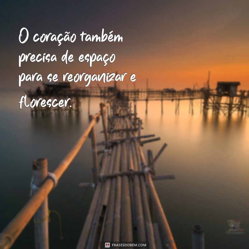 Frases Inspiradoras para Se Afastar e Encontrar Paz Interior 