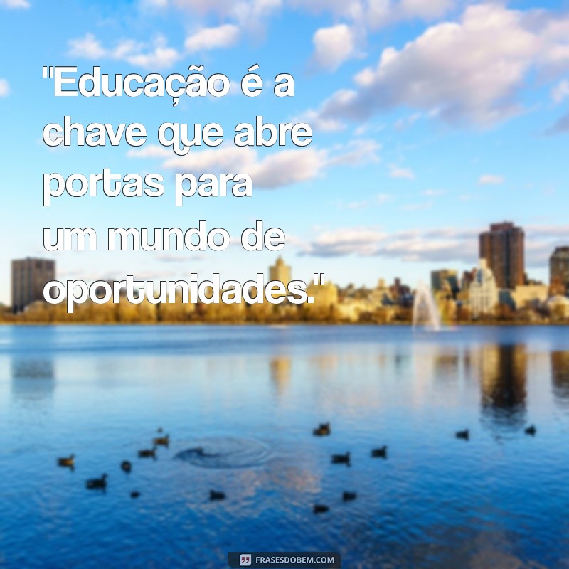 frases de motivação educação 