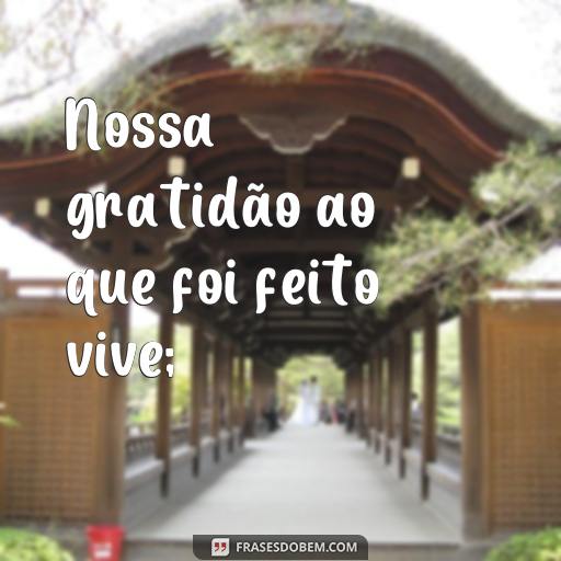 As Maravilhosas Frases dos Incríveis Momentos que Passaram Nossa gratidão ao que foi feito vive;