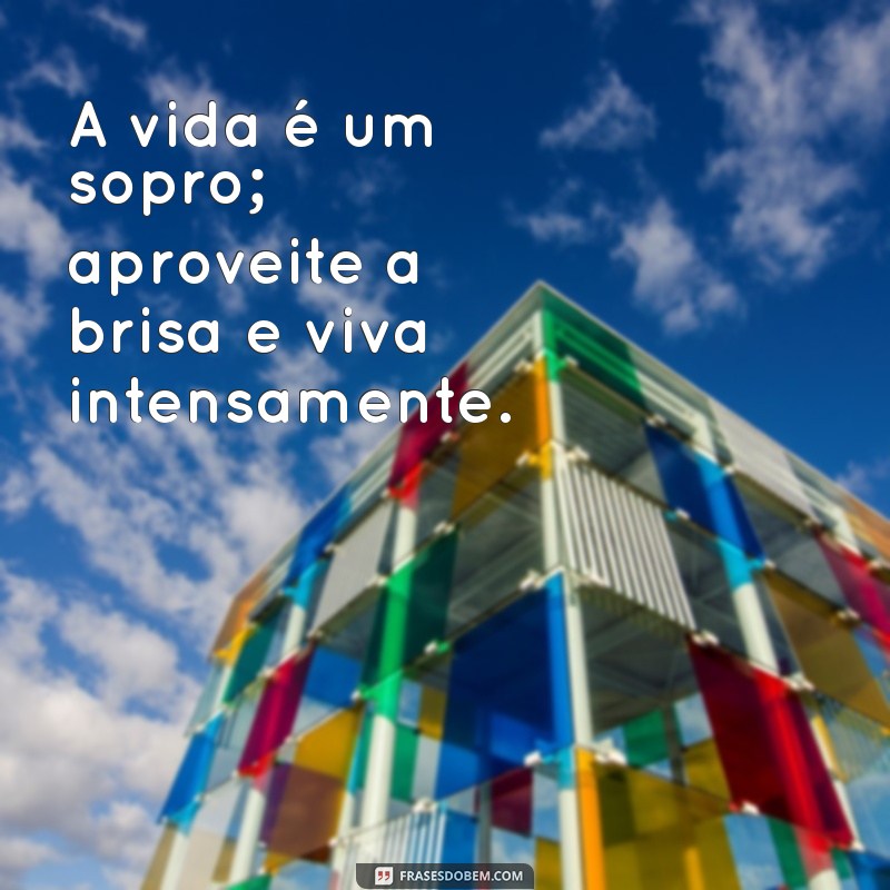 Frases de Brisa: Inspirações Leves para Acalmar a Alma 