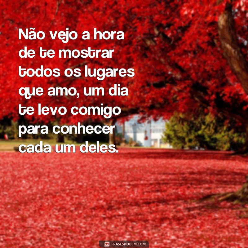 Descubra as Melhores Frases de Amor: Um Dia Te Levo Comigo 