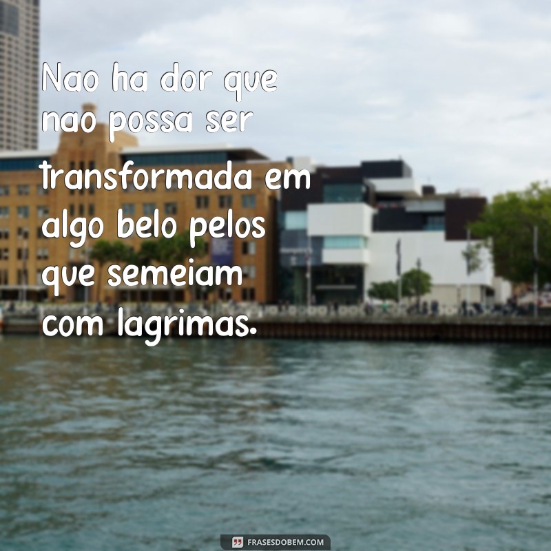 Descubra as mais emocionantes frases sobre semear com lágrimas 