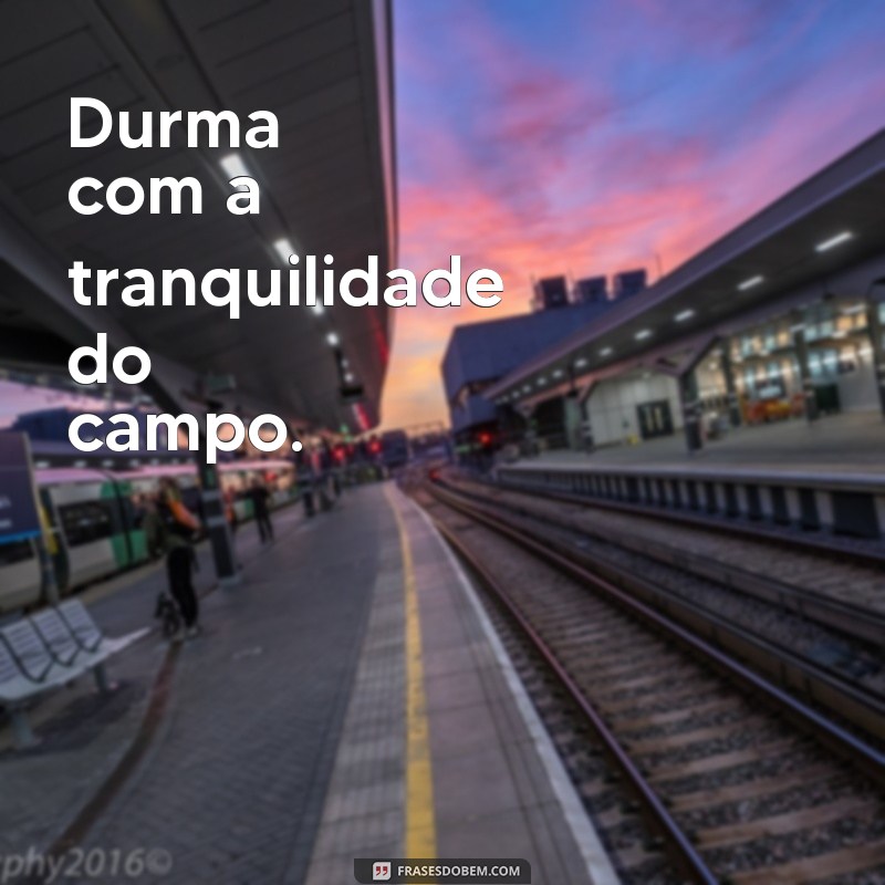 Descubra as melhores frases de boa noite para curtir a tranquilidade da roça 