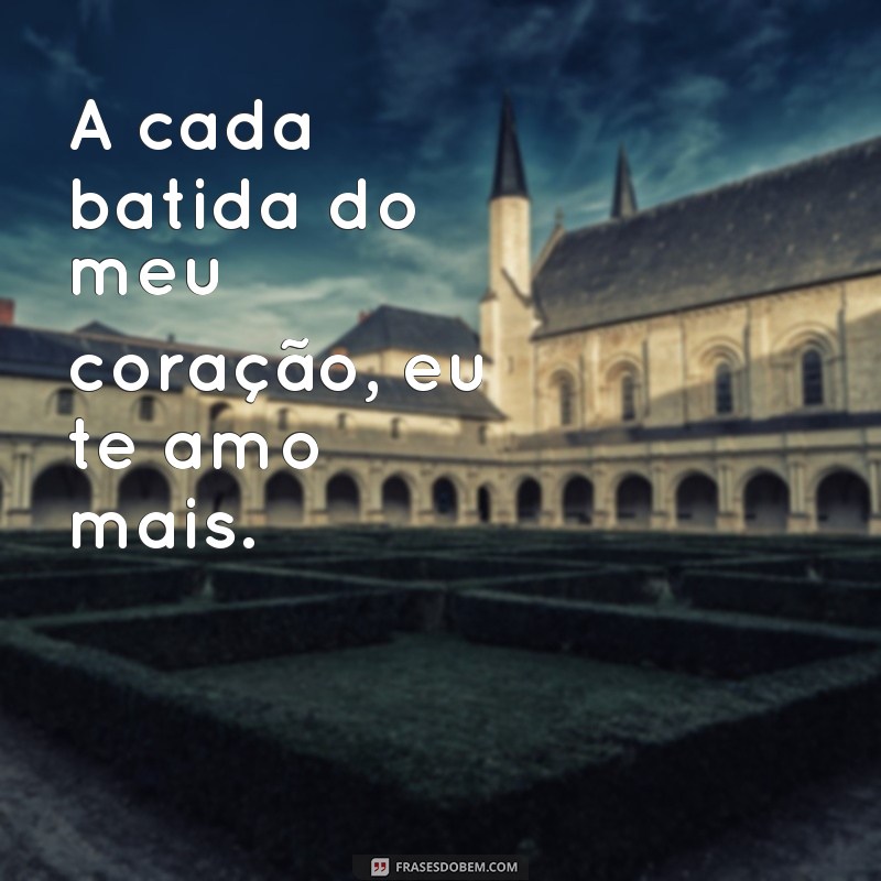 Descubra as melhores frases de amor para conquistar o seu grande amor 