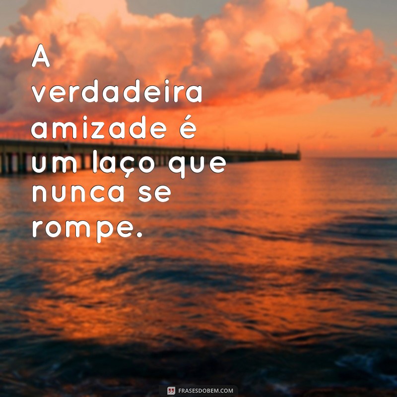 Frases Inspiradoras de Amizade para Celebrar Sua Amiga Especial 