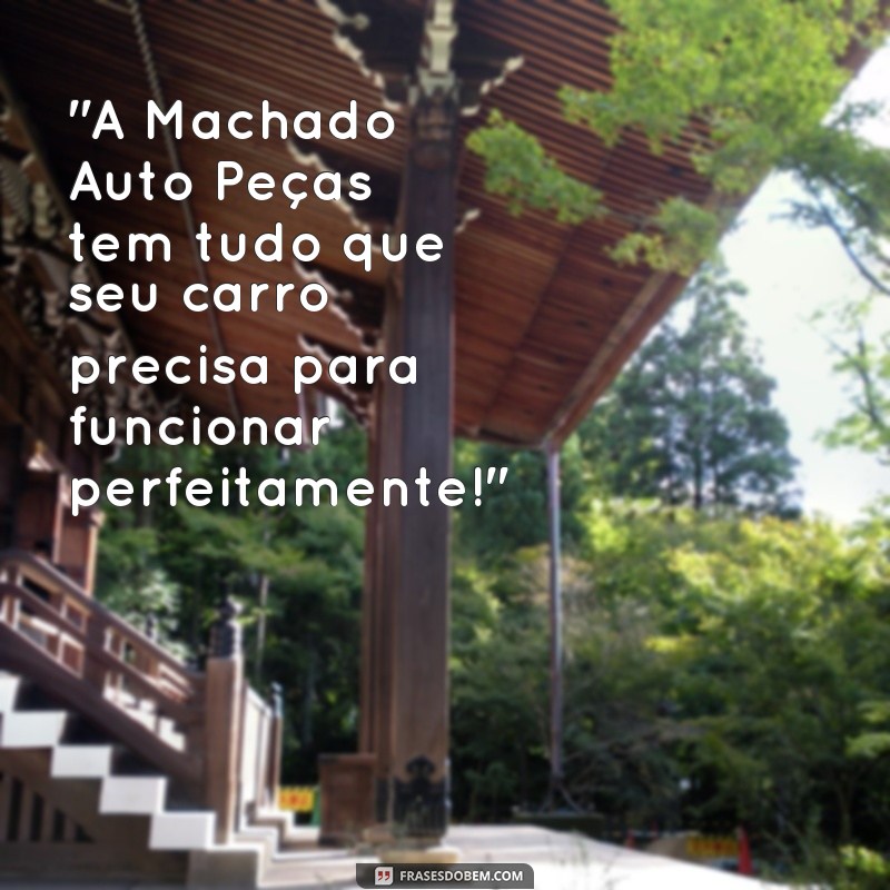 frases machado auto peças 