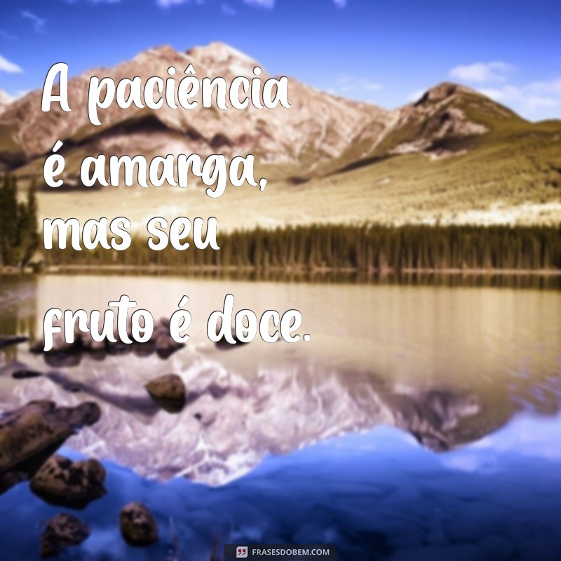 Frases Inspiradoras para Status: As Melhores Fotos para Compartilhar 