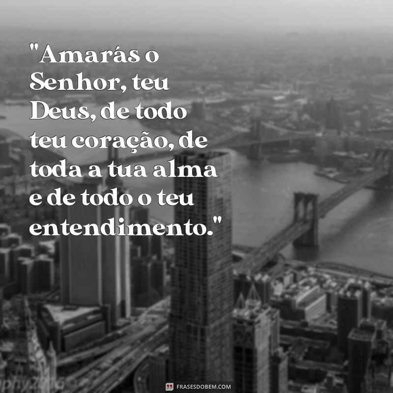 ensinamentos de jesus frases 