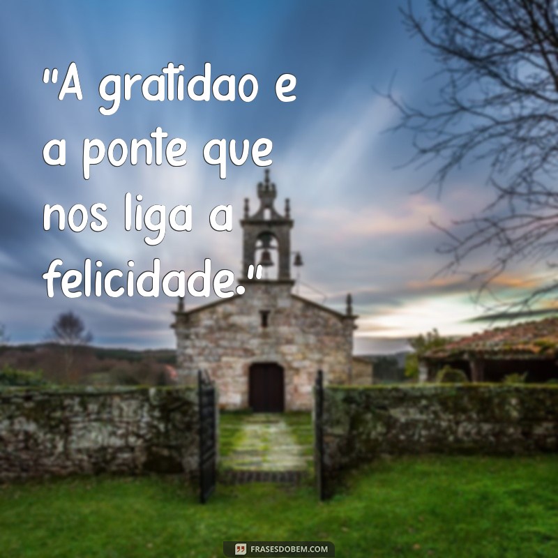 frases de augusto cury sobre gratidão 