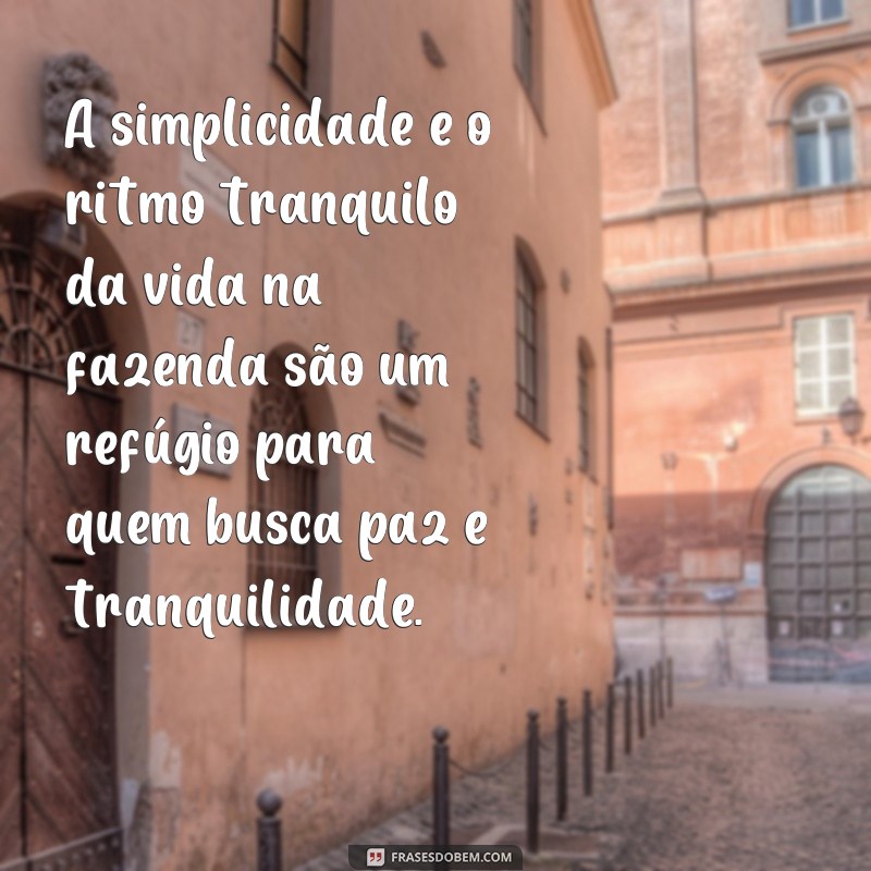 Descubra as melhores frases sobre fazenda para viver e trabalhar em harmonia 