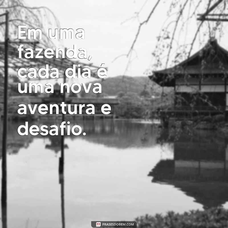 Descubra as melhores frases sobre fazenda para viver e trabalhar em harmonia 