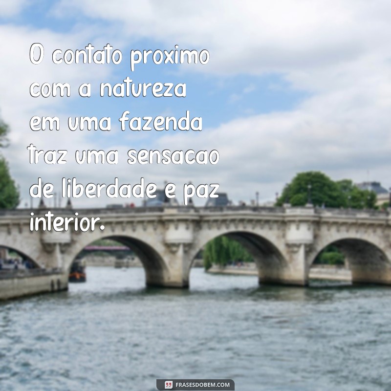 Descubra as melhores frases sobre fazenda para viver e trabalhar em harmonia 