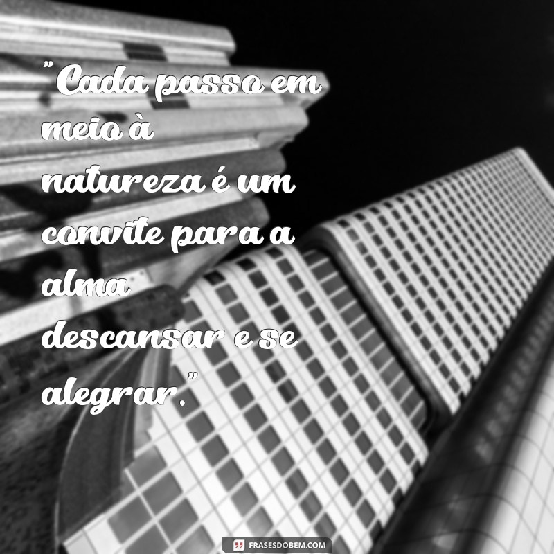 frases de passeio maravilhoso 