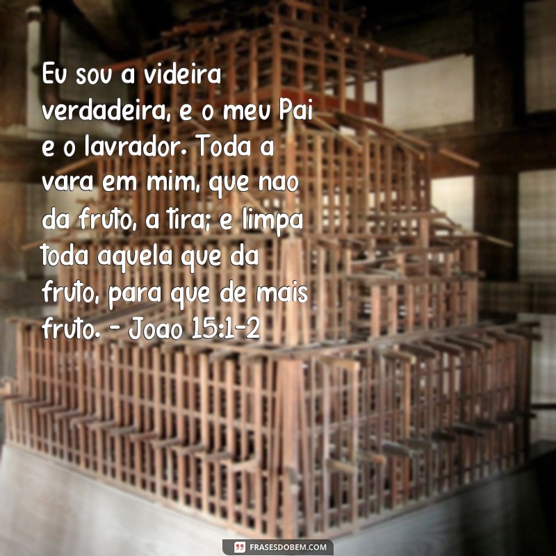 Descubra as melhores frases e versículos de fé e confiança em Deus para fortalecer sua espiritualidade 