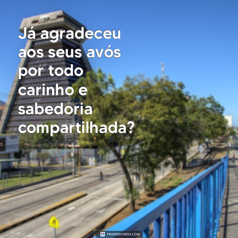 Descubra como expressar gratidão com as melhores frases do dia: já agradeceu hoje? 