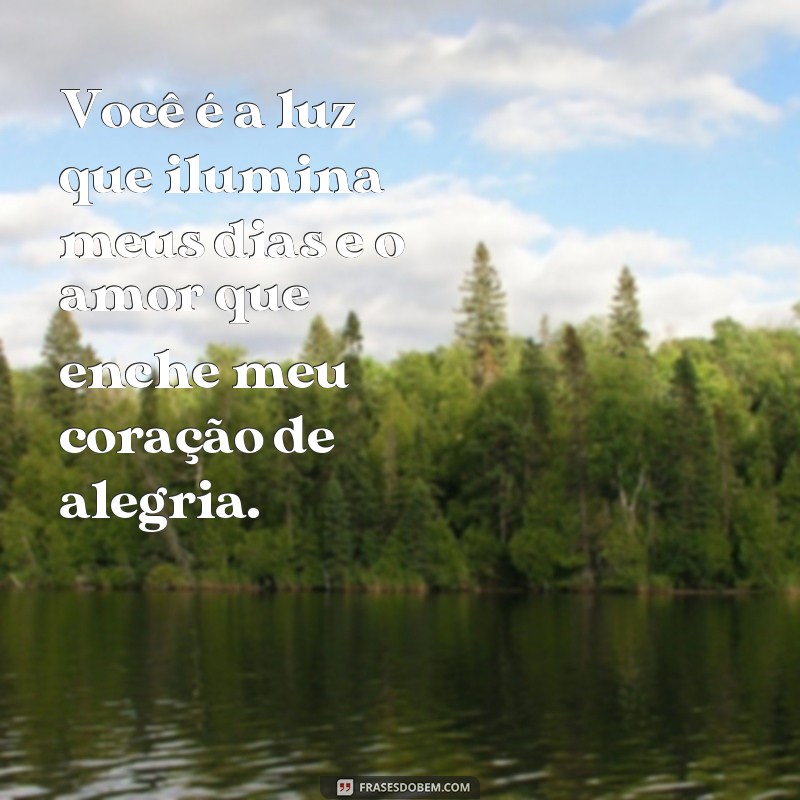 frases uma linda mensagem de amor e carinho Você é a luz que ilumina meus dias e o amor que enche meu coração de alegria.