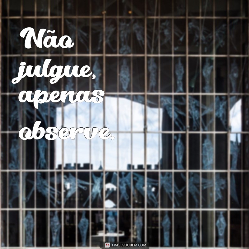 Descubra a paz interior com as melhores frases zen 