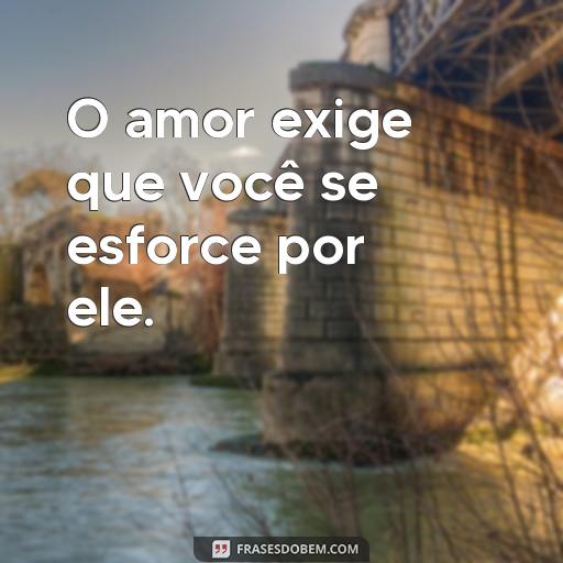 Frases Inspiradoras do Livro É Assim que Acaba - Conheça os Melhores Trechos e Mensagens! O amor exige que você se esforce por ele.