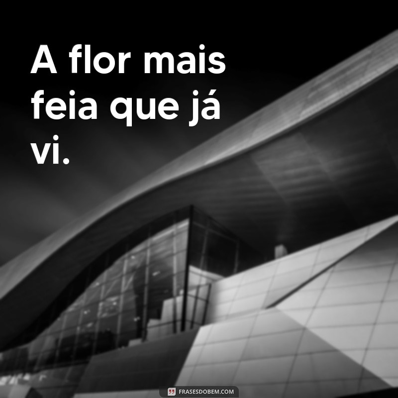 frases flor feia A flor mais feia que já vi.