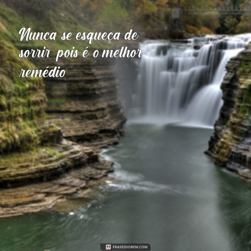 Descubra as melhores frases para deixar suas fotos do WhatsApp ainda mais incríveis! 