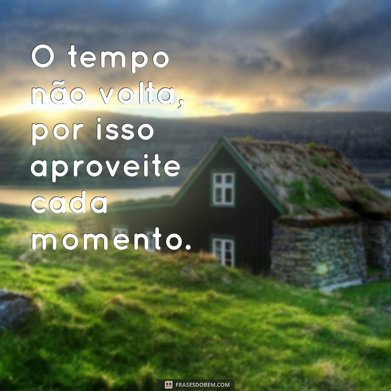 Descubra as melhores frases para copiar e colar e arrasar nas redes sociais! 