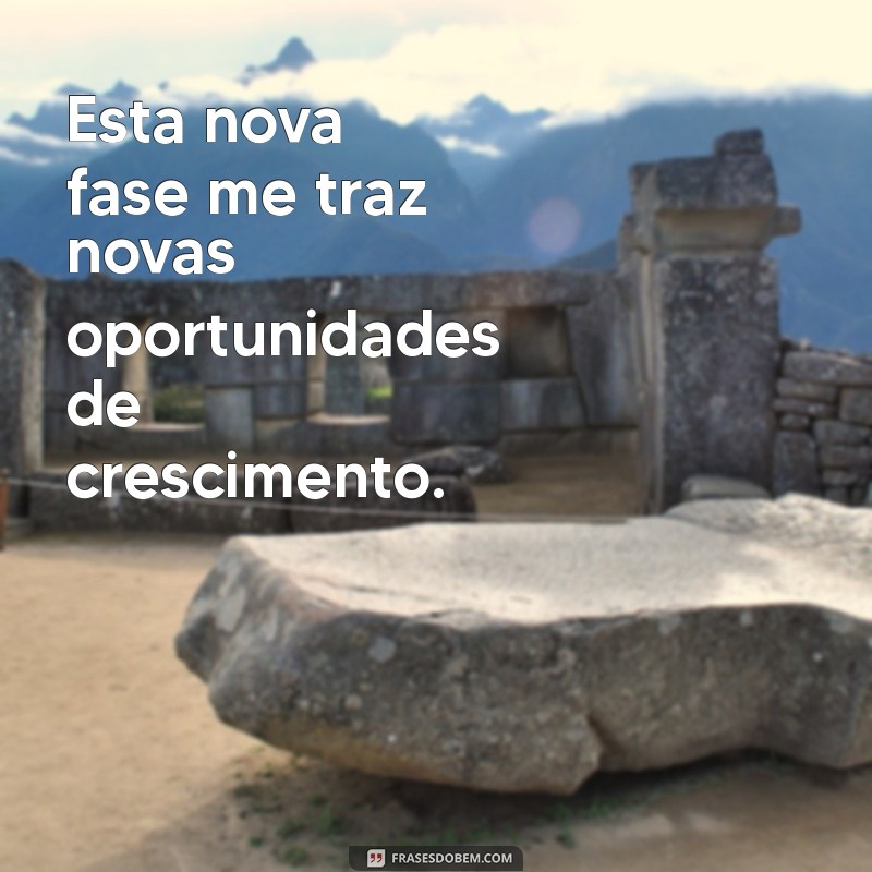 frases de uma nova fase Esta nova fase me traz novas oportunidades de crescimento.