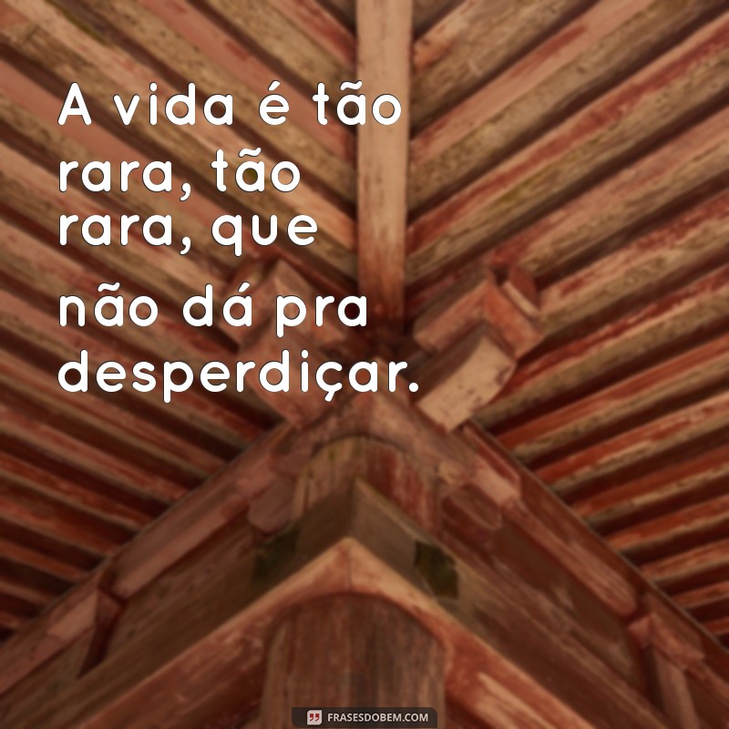 Conheça as mais inspiradoras frases de Cazuza para se emocionar e refletir 