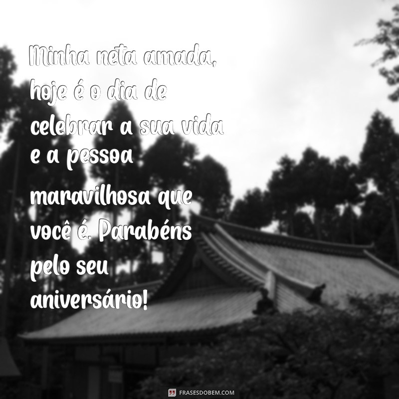 Encante sua neta com as melhores frases de aniversário! 