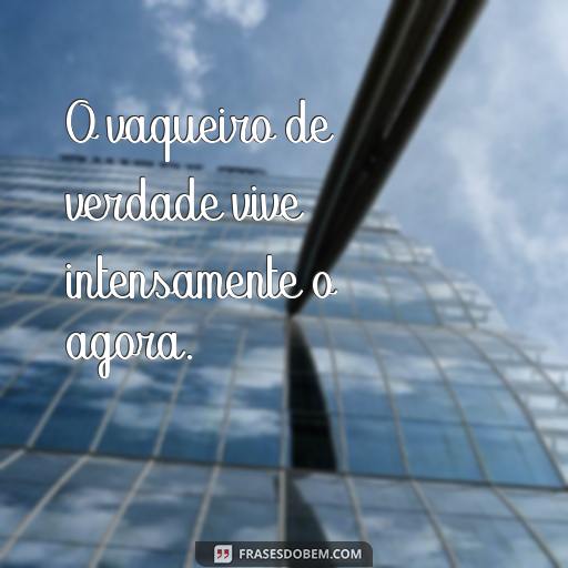 50 Frases de Vaqueiro Para Inspirar Suas Fotos O vaqueiro de verdade vive intensamente o agora.