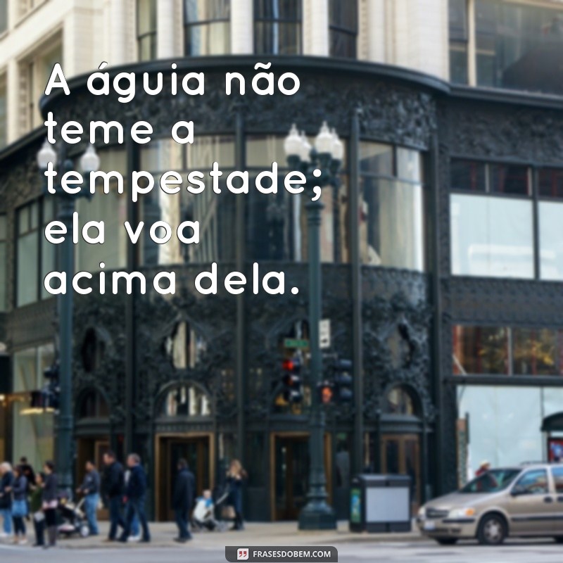 mensagem de águia A águia não teme a tempestade; ela voa acima dela.