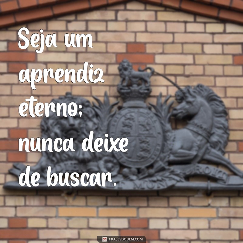 Aprendizado e Mensagem: Descubra o Poder Transformador da Educação 