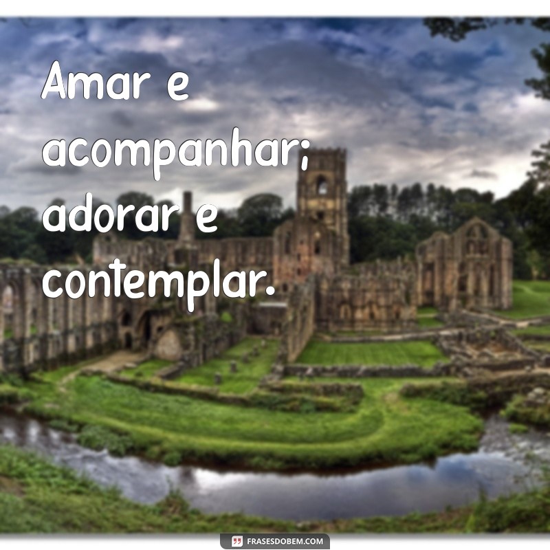 Adorar vs Amar: Entenda as Diferenças e Significados 