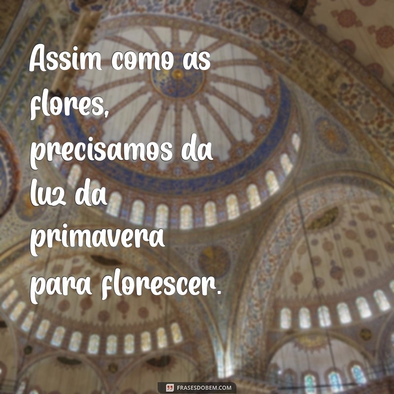 Frases Inspiradoras sobre Primavera e Flores para Renovar seu Dia 