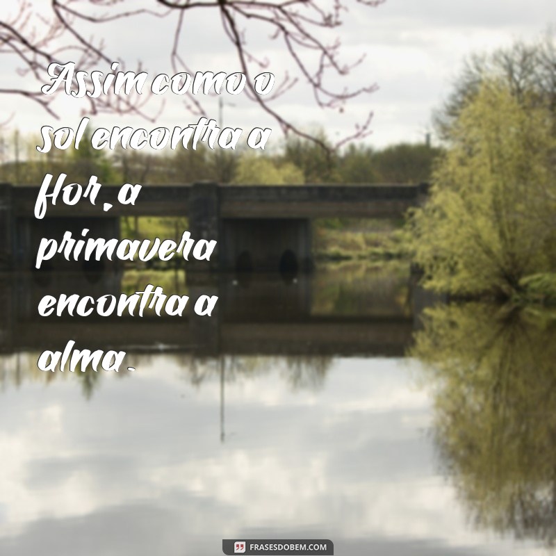 Frases Inspiradoras sobre Primavera e Flores para Renovar seu Dia 