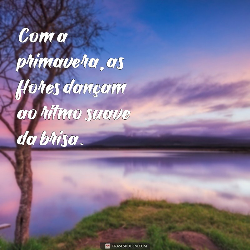 Frases Inspiradoras sobre Primavera e Flores para Renovar seu Dia 